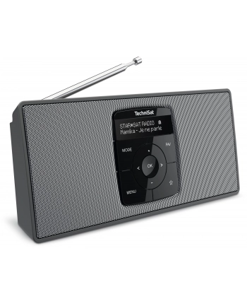 TechniSat DIGITRADIO 2 S (black / silver, DAB +, FM, Bluetooth)