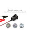 Automatyczna Ladowarka, Prostownik Green Cell do akumulatorow 6V / 12V (1A) - nr 15